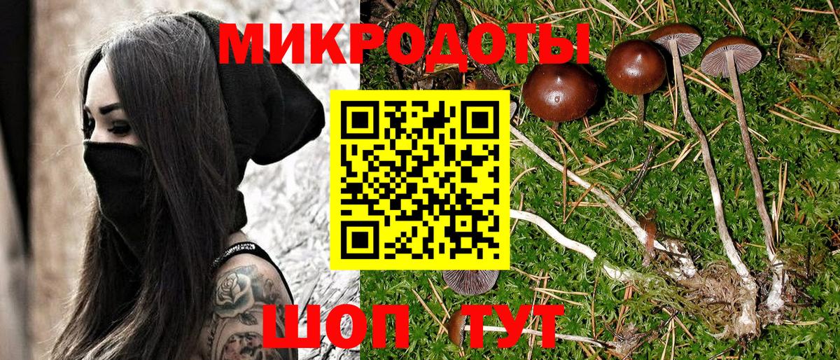 Псилоцибиновые грибы MAGIC MUSHROOMS Аргун