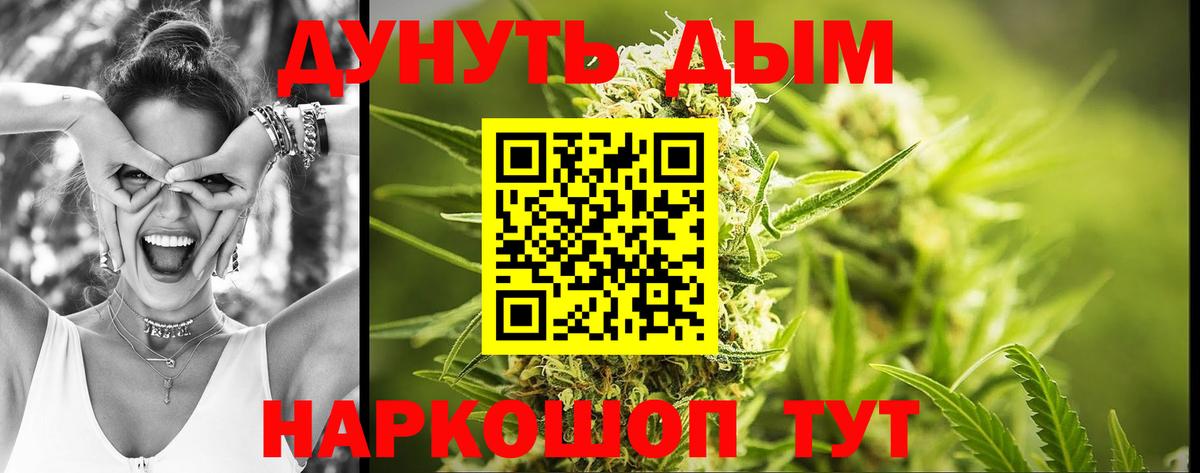 Бошки Шишки планчик  Вход с VPN  Аргун  Канабис семена 